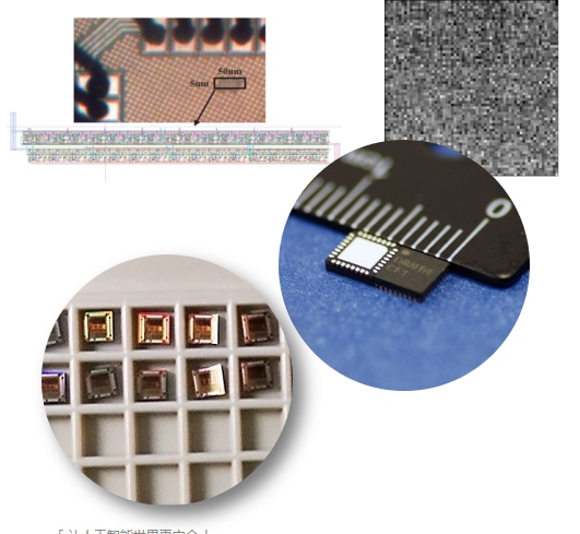 可信身份芯片背景